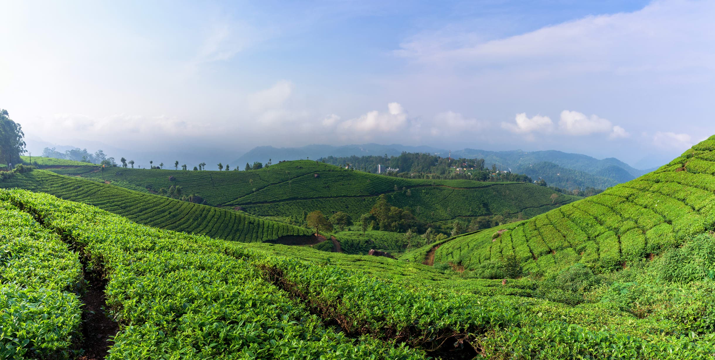 Madikeri - Image 1