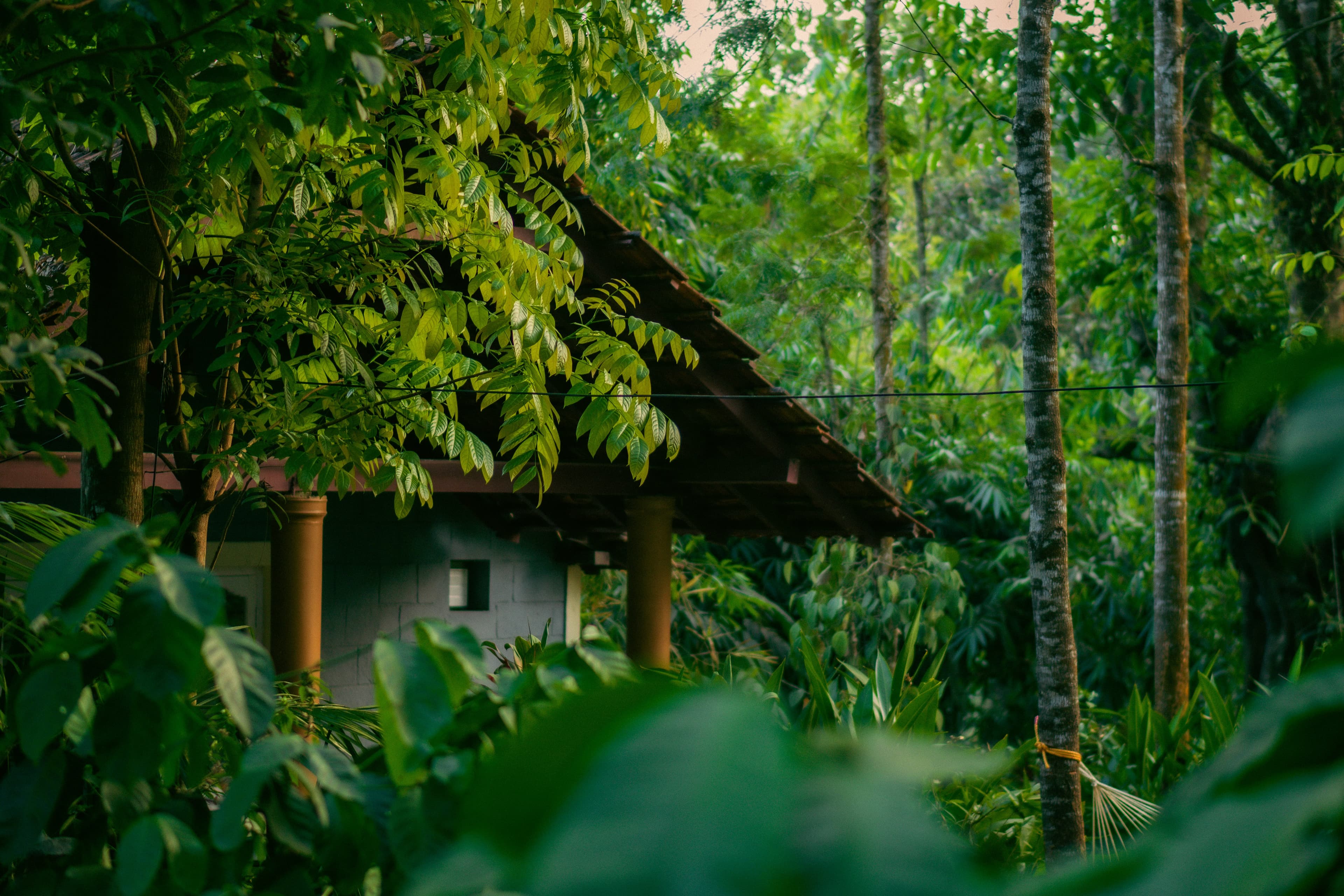 Coorg huts Coorg huts