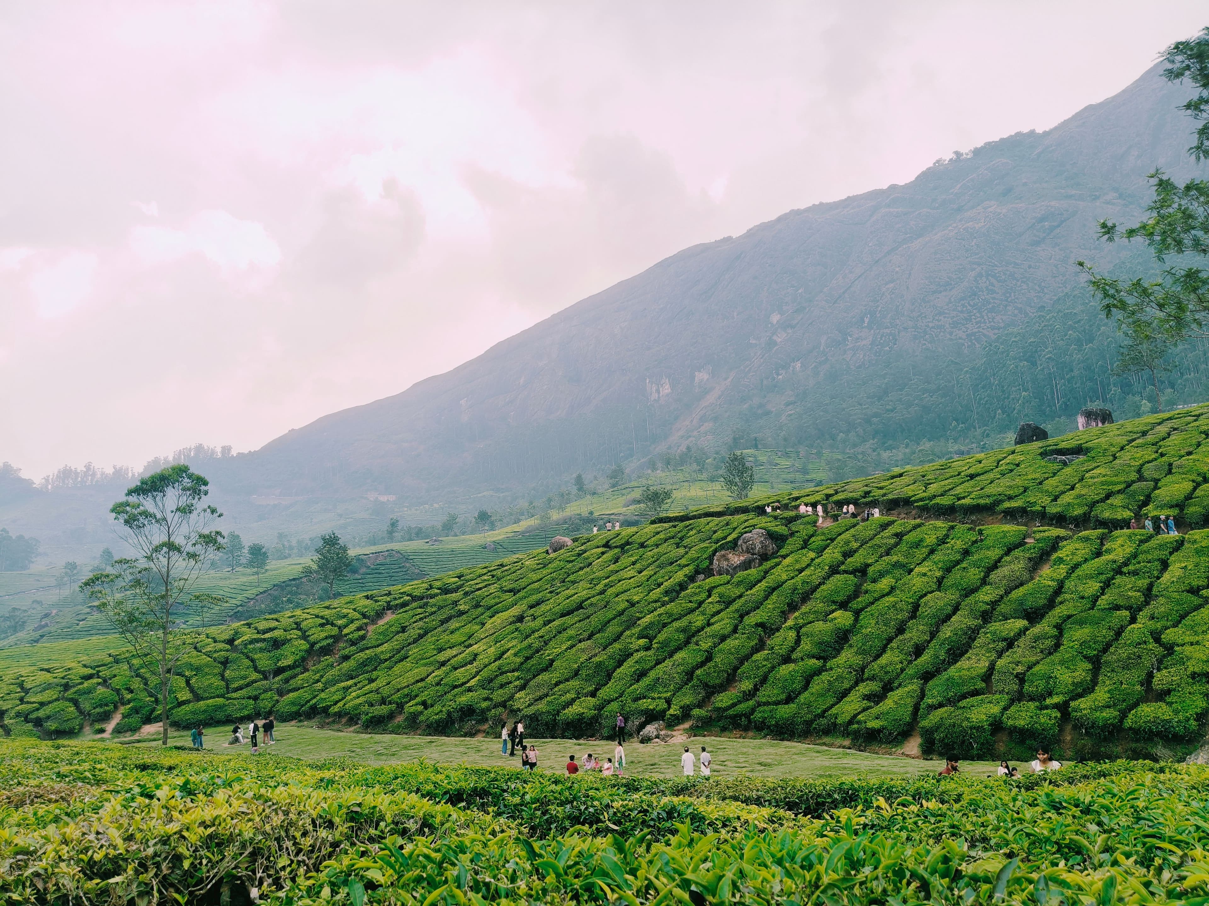 chikkamagaluru chikkamagaluru