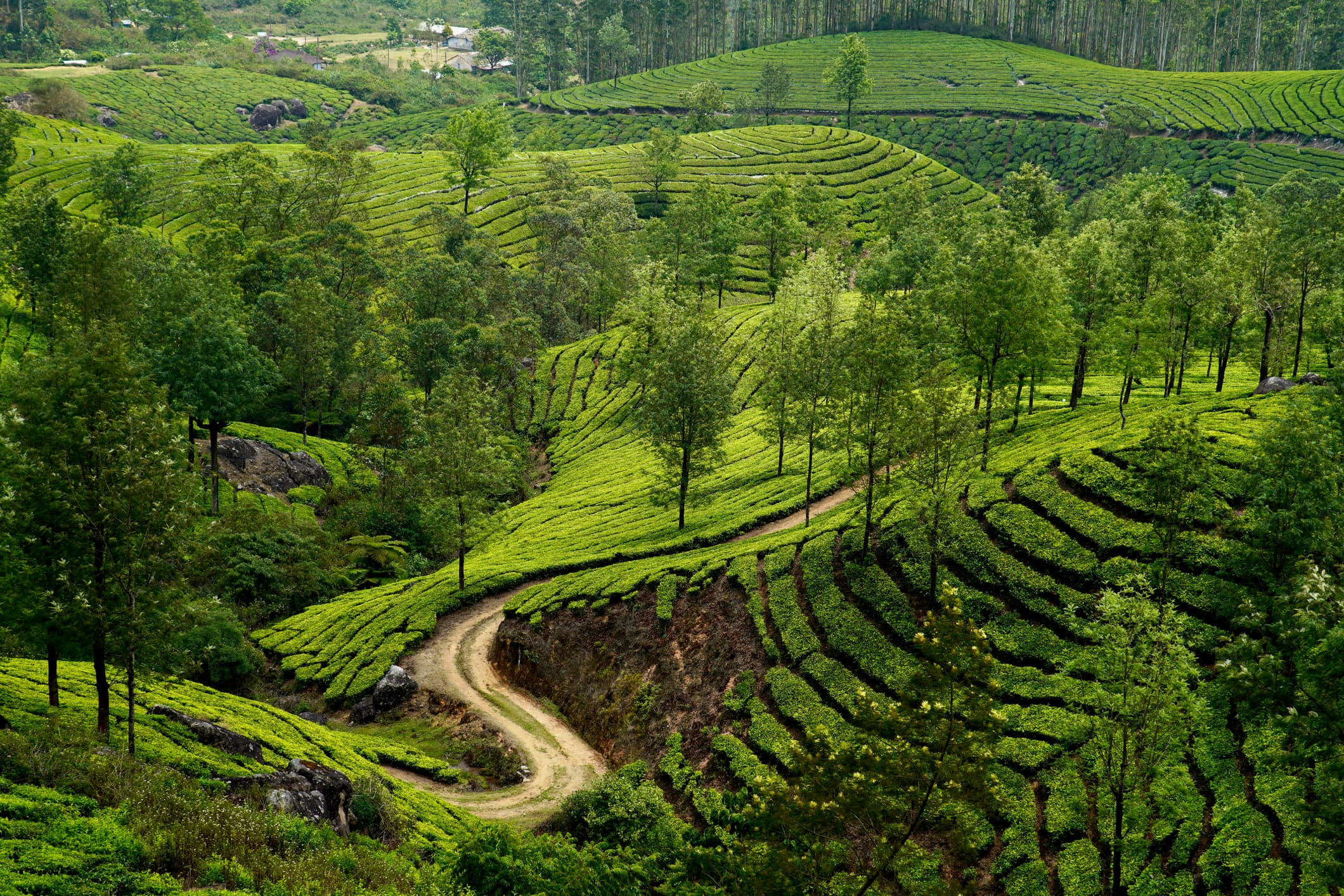 Munnar Munnar
