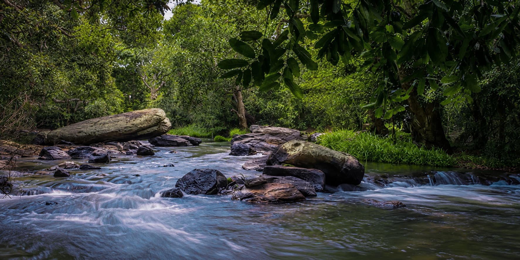 Coorg Waters Coorg Waters